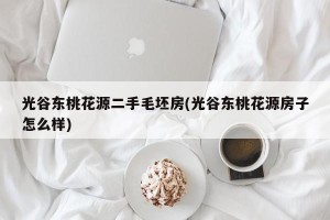 光谷东桃花源二手毛坯房(光谷东桃花源房子怎么样)