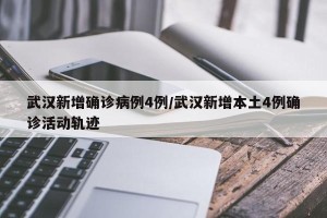 武汉新增确诊病例4例/武汉新增本土4例确诊活动轨迹