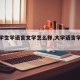 【大学生学语言文学怎么样,大学语言学学什么】