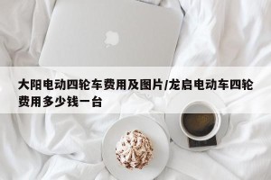 大阳电动四轮车费用及图片/龙启电动车四轮费用多少钱一台